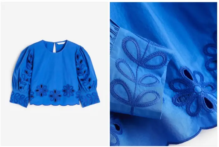 Embroidered Puff Sleeve Blouse Design